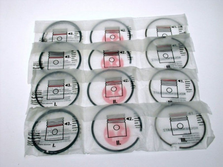 Jeu Segments Rosengart LR (jeu de 16)