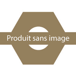Piston x 4 Ø 55.00 mm - Citroen Trefle 5cv